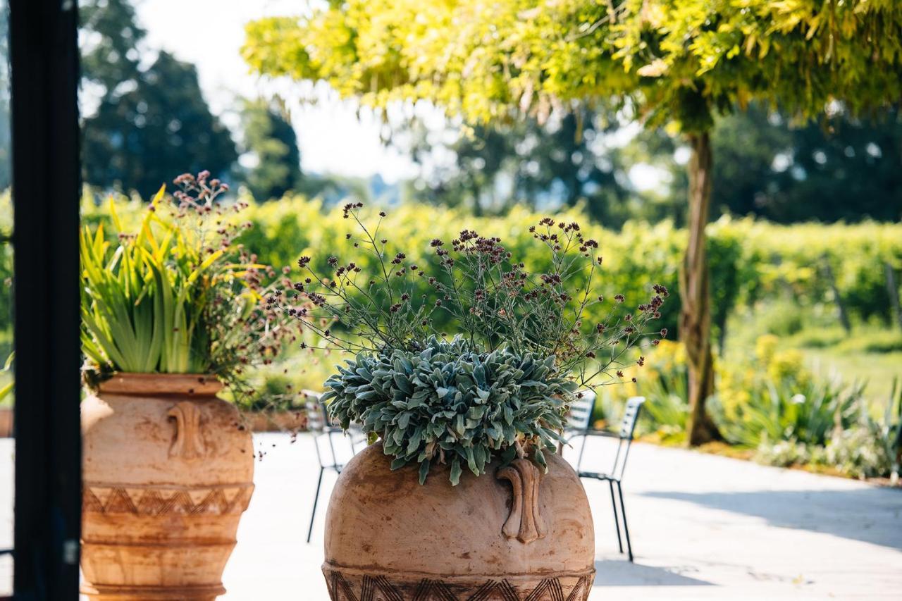 Vila Dimora Buglioni Wine Relais San Pietro in Cariano Exteriér fotografie