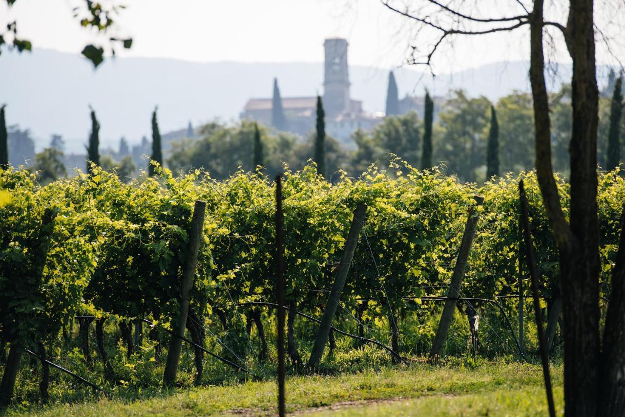 Vila Dimora Buglioni Wine Relais San Pietro in Cariano Exteriér fotografie