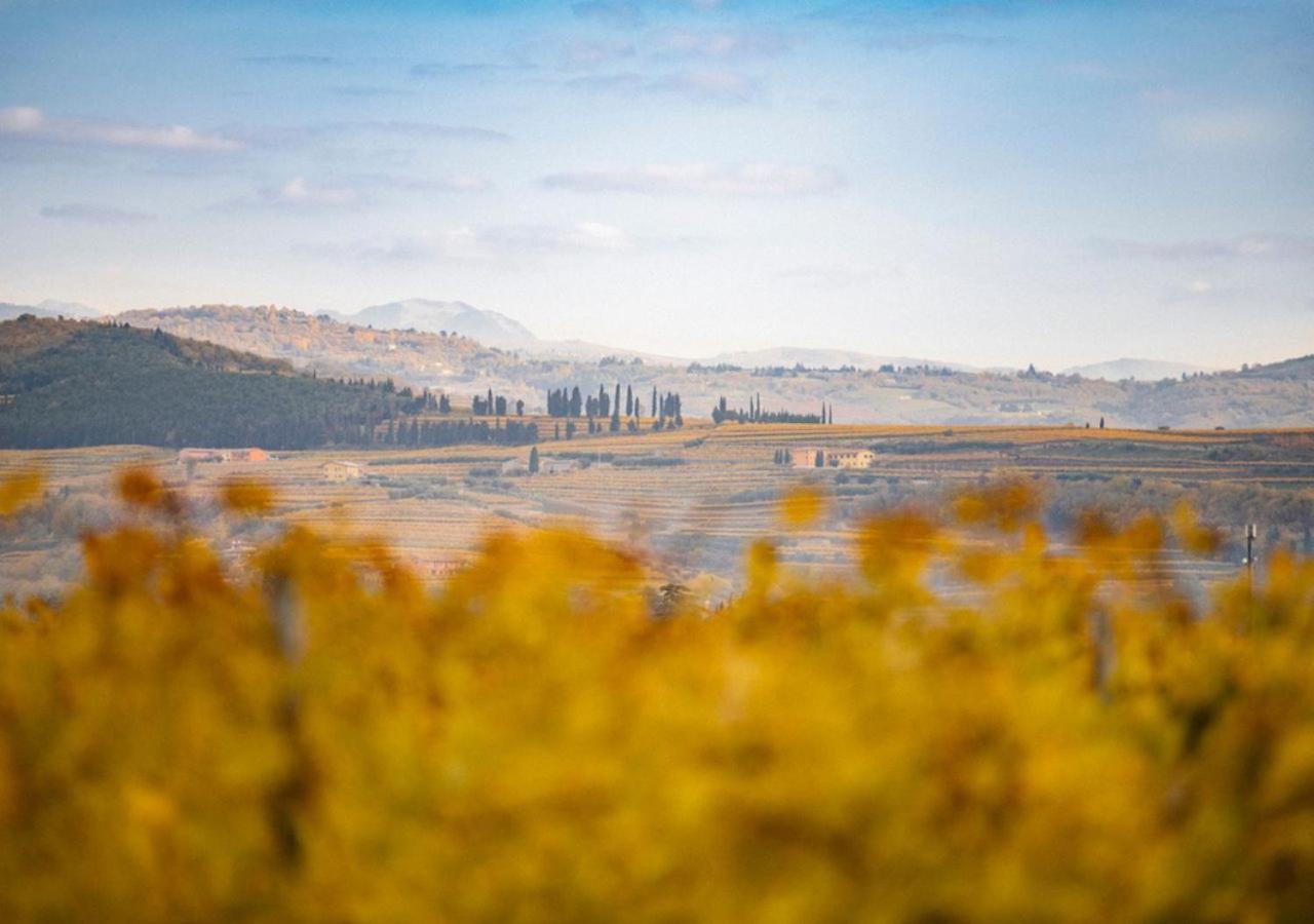 Vila Dimora Buglioni Wine Relais San Pietro in Cariano Exteriér fotografie