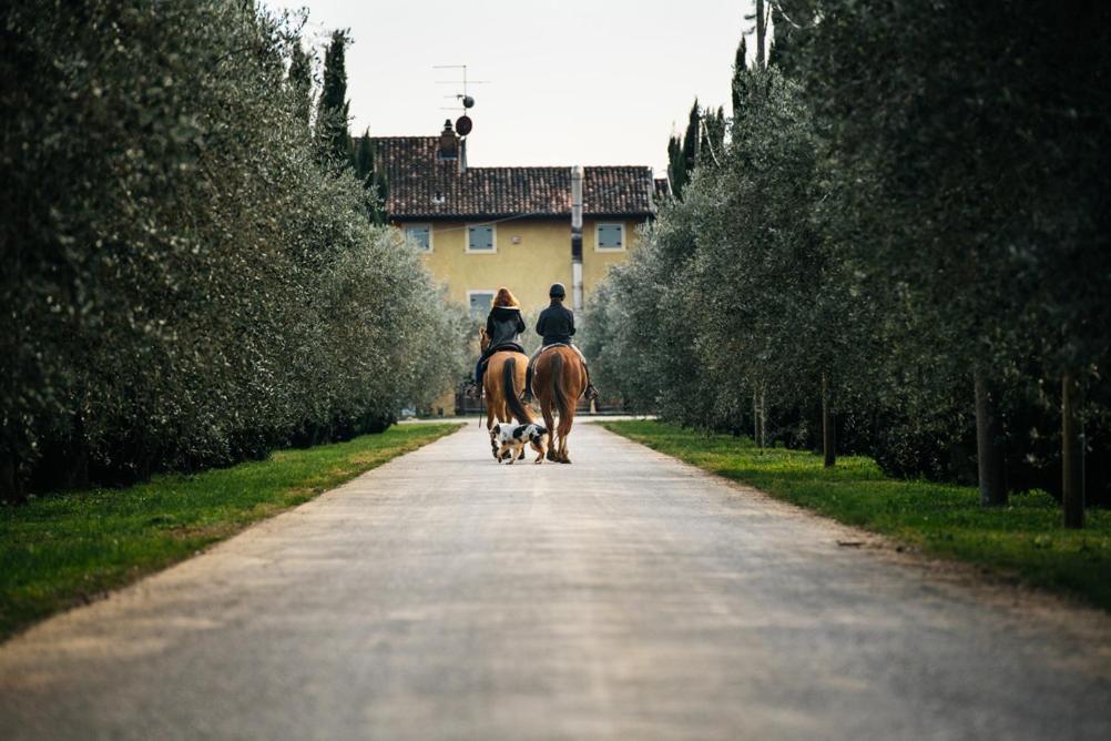 Vila Dimora Buglioni Wine Relais San Pietro in Cariano Exteriér fotografie