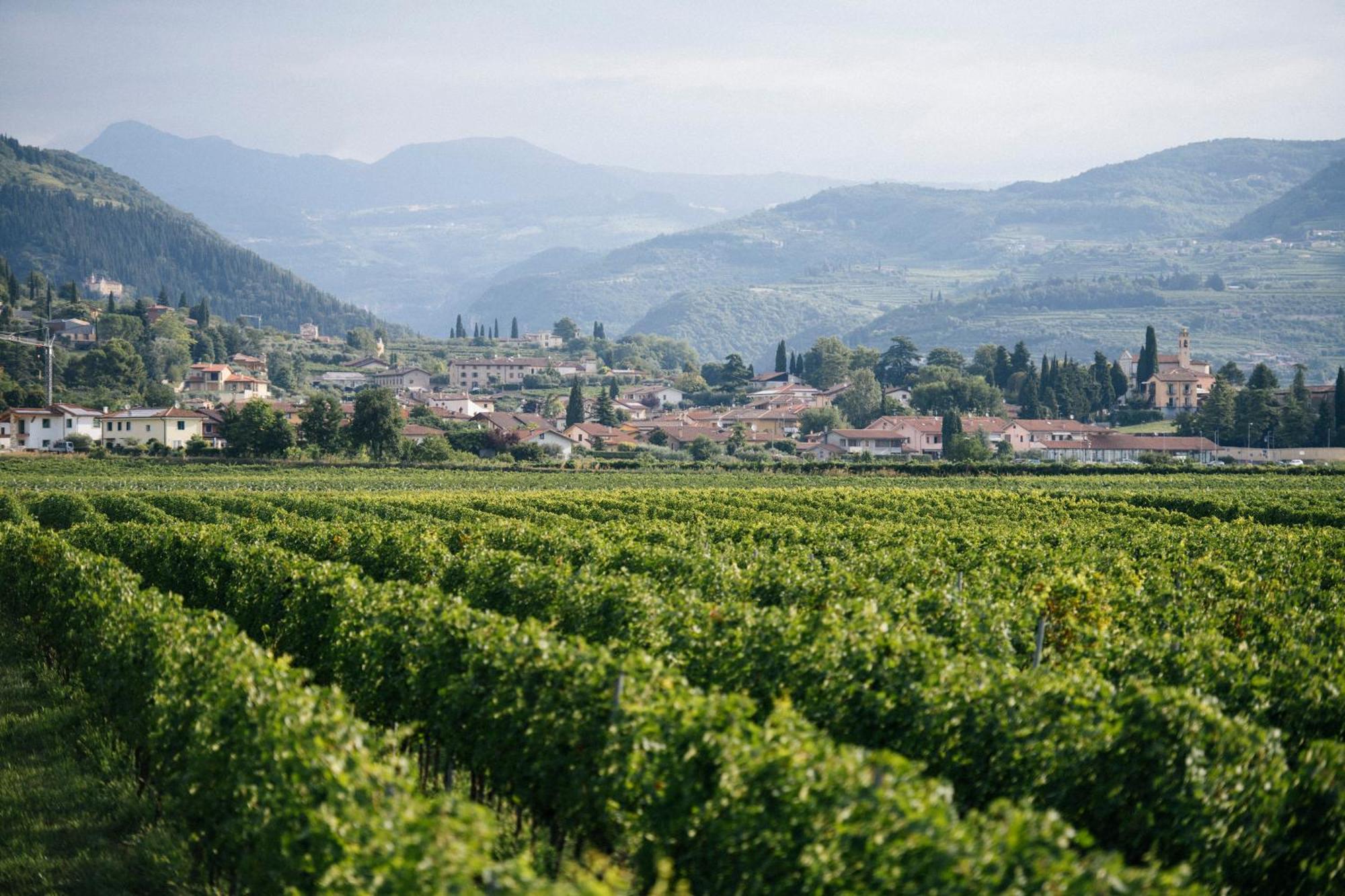 Vila Dimora Buglioni Wine Relais San Pietro in Cariano Exteriér fotografie