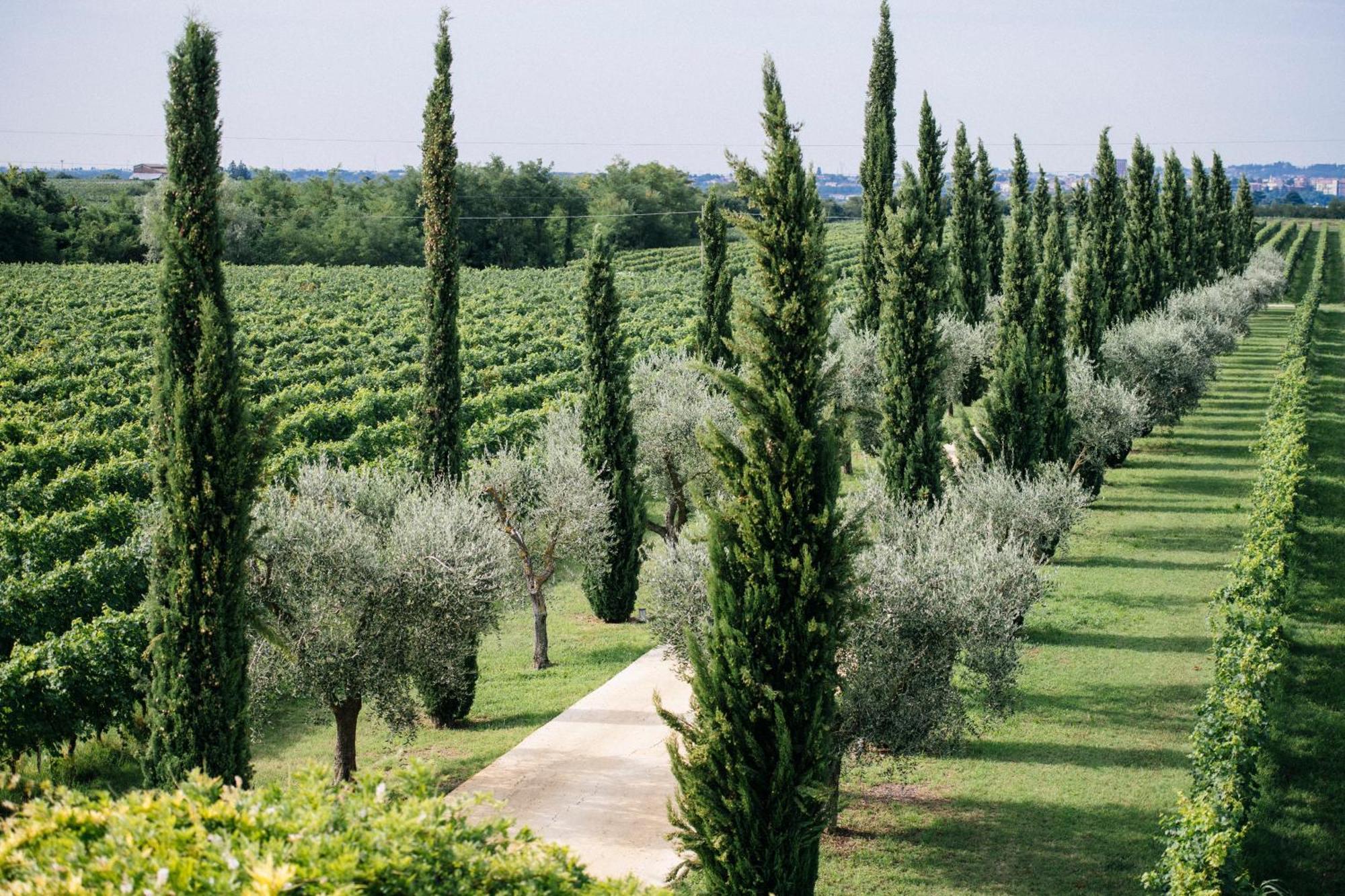 Vila Dimora Buglioni Wine Relais San Pietro in Cariano Exteriér fotografie