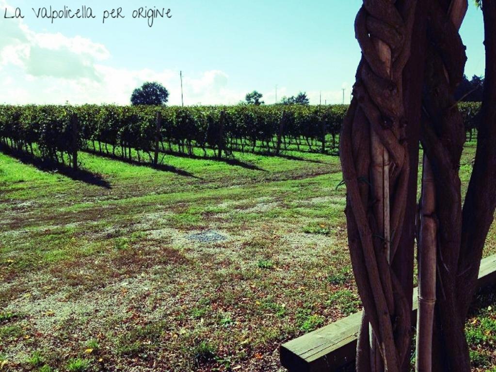 Vila Dimora Buglioni Wine Relais San Pietro in Cariano Exteriér fotografie