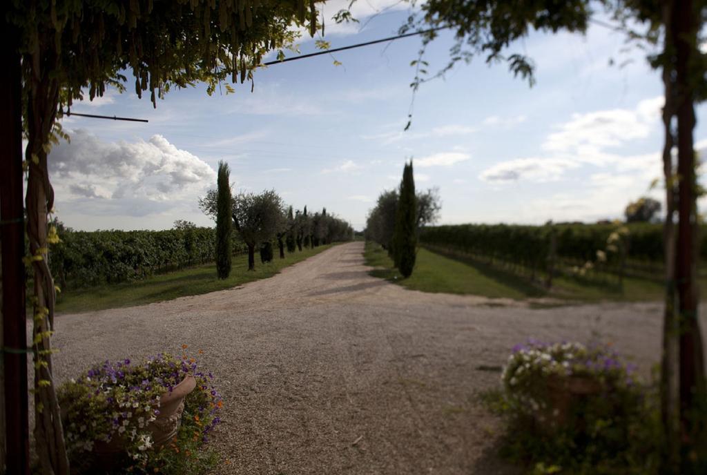 Vila Dimora Buglioni Wine Relais San Pietro in Cariano Exteriér fotografie